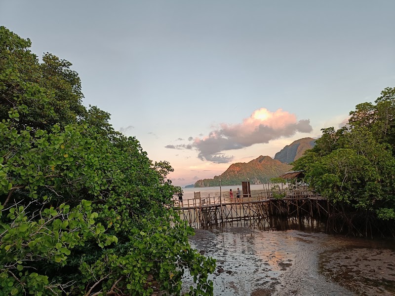 Maquinit Hot Spring - Maquinit Hot Spring Sitio Maquinit, Barangay, Coron, Palawan, Philippines