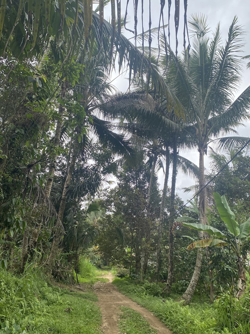 Uma Harum Sari - Uma Harum Sari J78Q+GP, Taro, Tegallalang, Gianyar Regency, Bali 80561, Indonesia