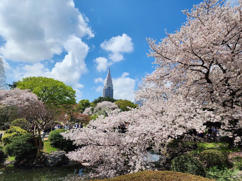Shinjuku Gyoen National Garden - Shinjuku Gyoen National Garden 11 Naitōmachi, Shinjuku City, Tokyo 160-0014, Japan