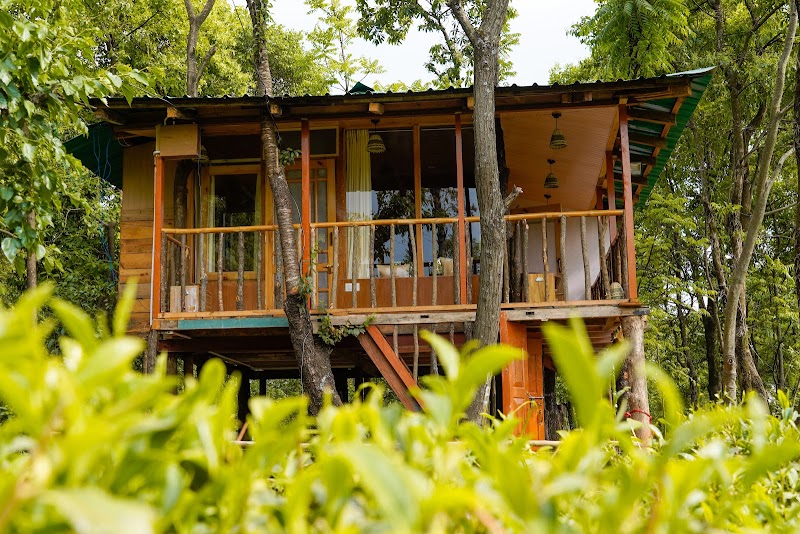 Pratham Tree House