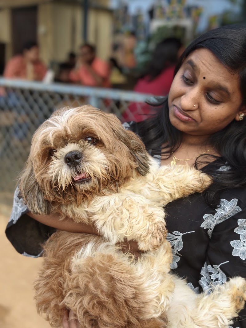 Wille's Pet Paradise - Wille's Pet Paradise 55, Sarjapur - Marathahalli Rd, Petrapebbles layout, Mullur, Bengaluru, Karnataka 560035, India