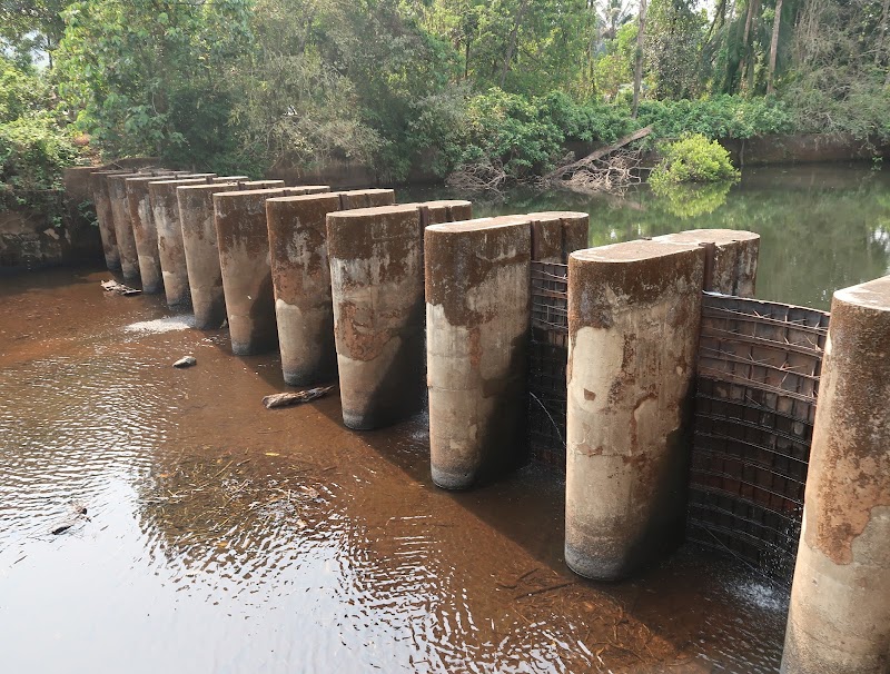 Rivona Small Dam - Rivona Small Dam 5439+J7H, Rivona, Kolamba, Goa 403705, India
