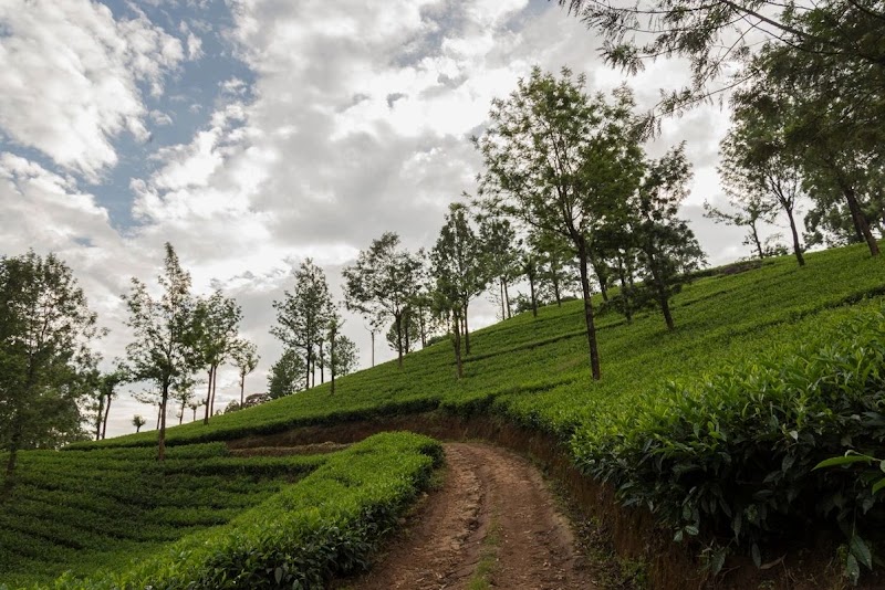 Mount Valley Resorts - Mount Valley Resorts near Pallivasal Tea Factory, PO, Pallivasal, Munnar, Kerala 685565, India