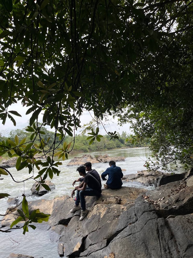 Nenmeni - Nenmeni, Keralam, India