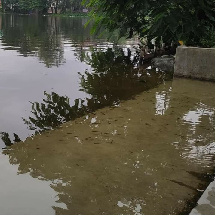 NilPukur Ghat - NilPukur Ghat B-118, Survey Park, Santoshpur, Kolkata, West Bengal 700075, India