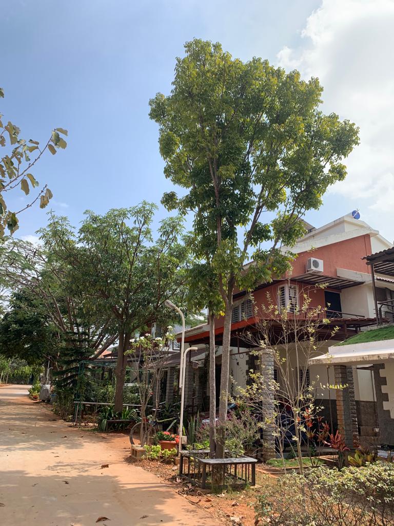Citrus Earth Villa - Citrus Earth Villa 6H62+6V9 Citrus Earth Villa, Doddaballapura Main Rd, Suradhenupura, Rajanukunte, Karnataka 562163, India