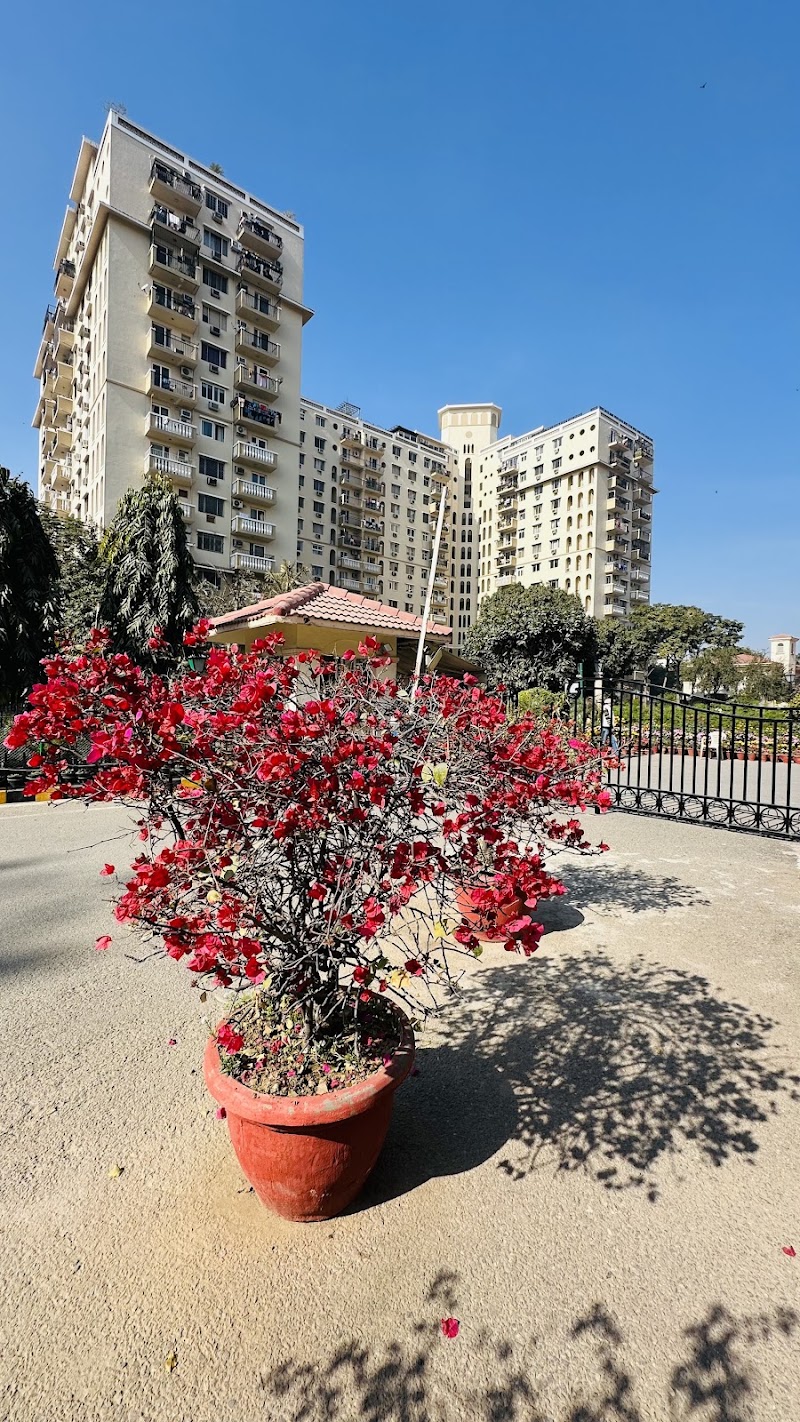 DLF Oakwood Estate - DLF Oakwood Estate DLF Oakwood Estate, Plot 161, Akashneem Marg, DLF Phase 2, Sector 25, Gurugram, Shahpur, Haryana 122002, India