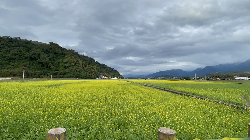 East Coast National Scenic Area - East Coast National Scenic Area, No. 25, Xincun Rd, Xinyi Village, Chenggong Township, Taitung County, Taiwan 96144