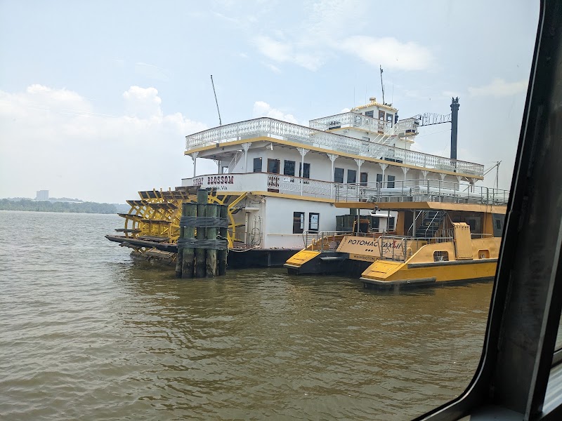 Potomac Water Taxi - Alexandria - Potomac Water Taxi - Alexandria, 0 Cameron St, Alexandria, VA 22314, USA