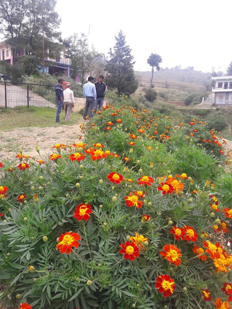 Champawat - Champawat, Uttarakhand 262523, India