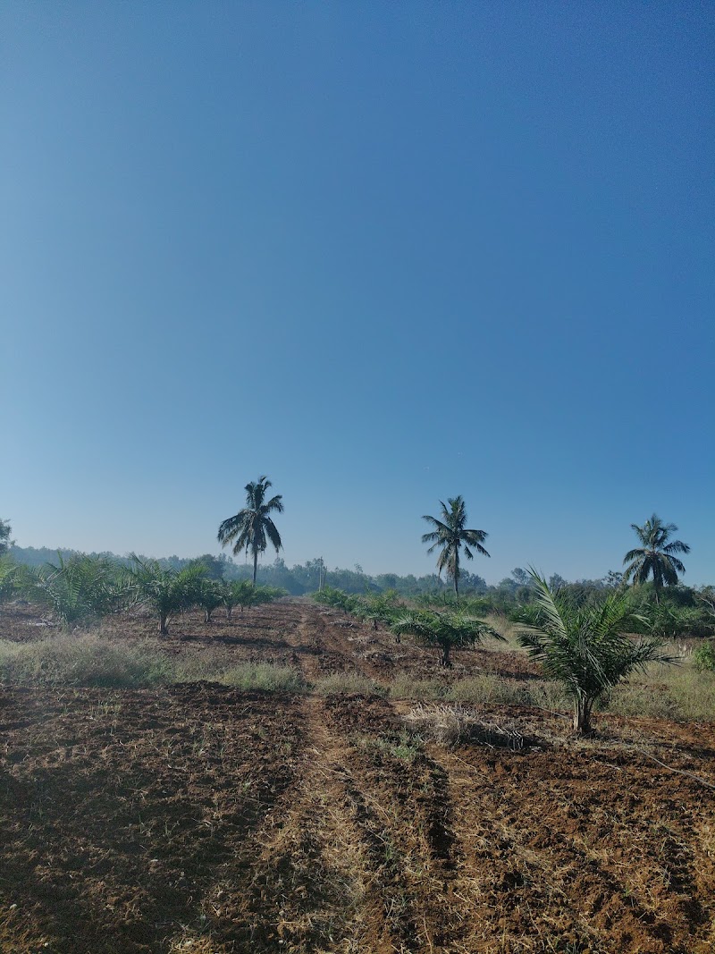 Spice Garden - Spice Garden, 6J63+X7H, Mangalpalle, Telangana 501510, India
