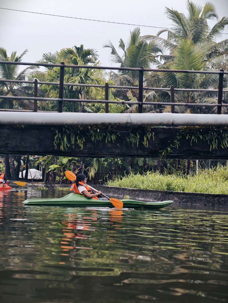 Mellowing in alleppey - Mellowing in alleppey Chungam Road, Pallathuruthy, Pazhaveedu, Alappuzha, Keralam 688011, India