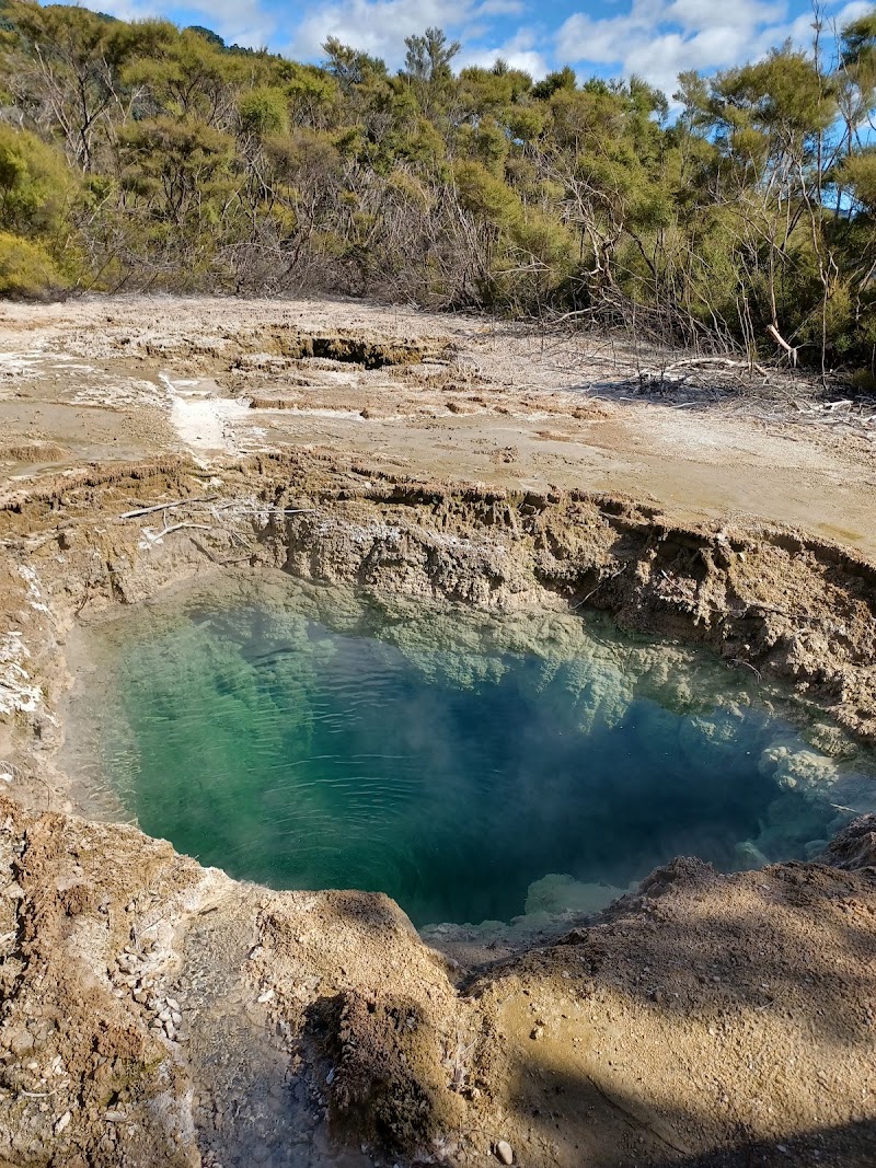 Tokaanu Thermal Walk
