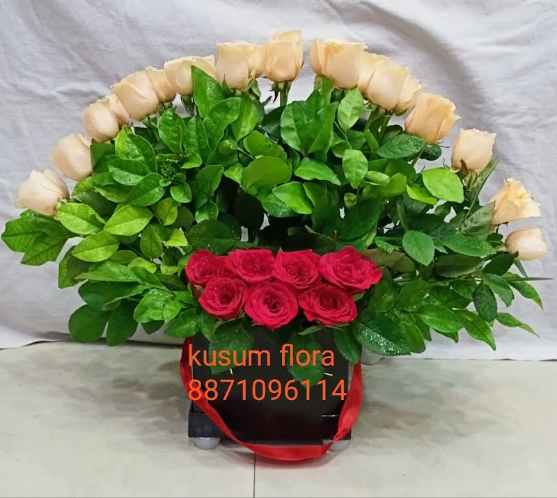 Kusum Flora - Kusum Flora, B-29, Netaji Subhash Complex, Jarhabhata, Masanganj, Chhattisgarh 495001, India
