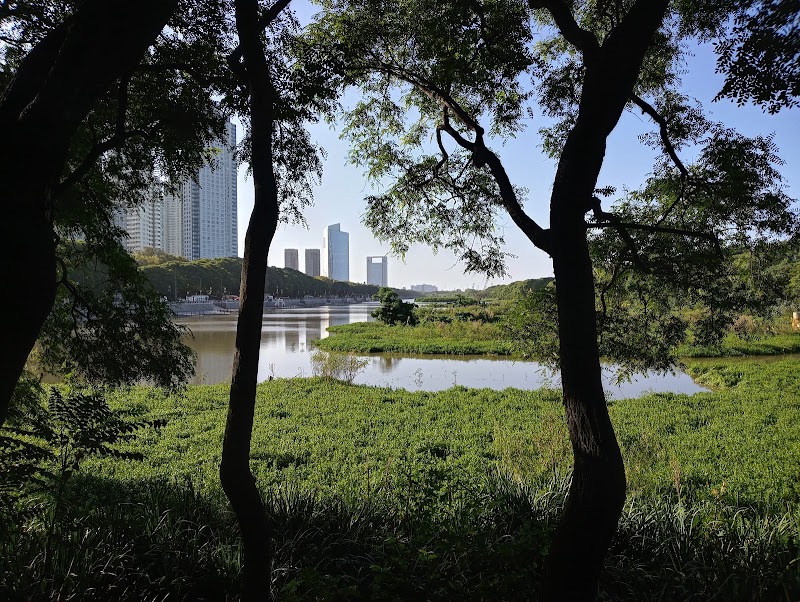 Acceso Sur - Reserva ecológica Costanera Sur