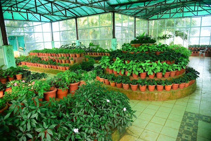 Govt. Botanical Garden - Yercaud - Govt. Botanical Garden - Yercaud 30/68, Ondikadai, Salem - Yercaud Ghat Road, Yercaud, Tamil Nadu 636602, India
