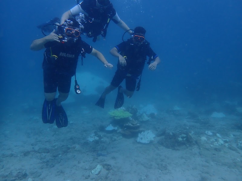 Phi Phi Sea Frog Diving Center - Scuba Diving Phi Phi Island, Thailand - Phi Phi Sea Frog Diving Center - Scuba Diving Phi Phi Island, Thailand 125/52-54, ตำบล อ่าวนาง อำเภอเมืองกระบี่ กระบี่ 81000, Thailand