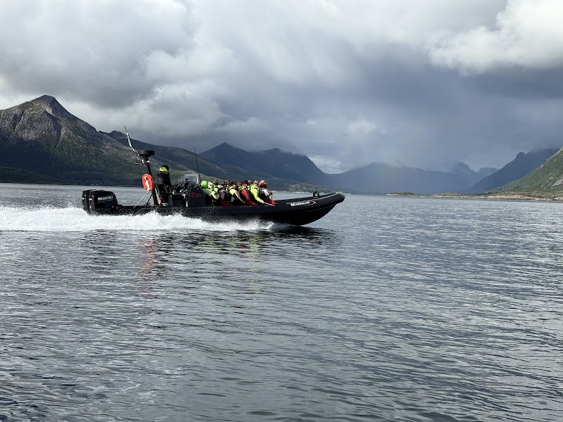 RIB-Lofoten - RIB-Lofoten Torget, 8300 Svolvær, Norway
