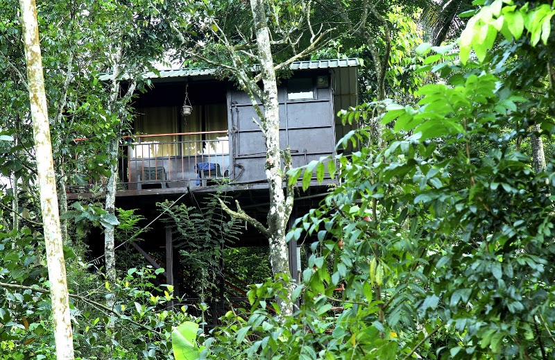 The Wayside Cottage Munnar - The Wayside Cottage Munnar kunchithanni, federal bank junction, Munnar, Kunchithanny, Kerala 685565, India