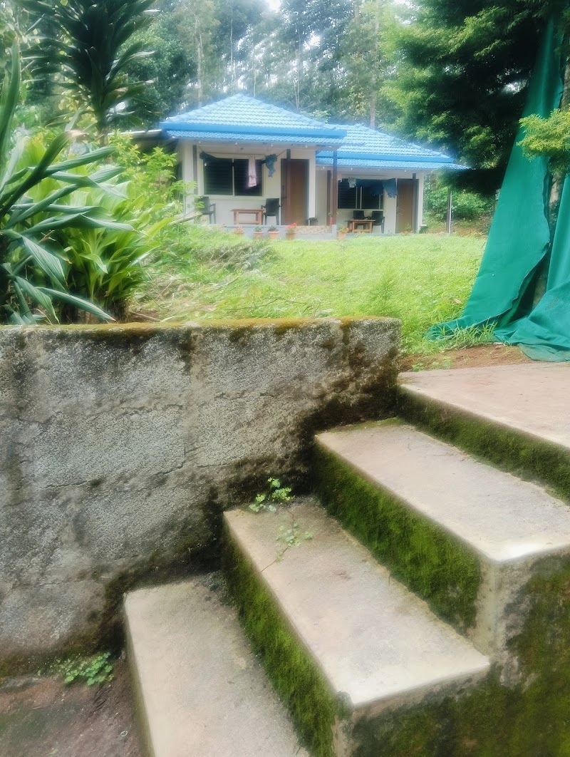 Villa Vibes Cottage - Villa Vibes Cottage, Vastare, Huluvale, Karnataka 577133, India