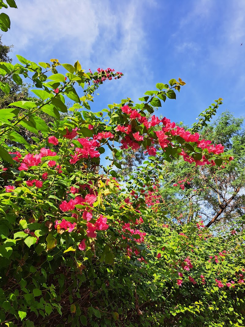 BGC Greenway Park - BGC Greenway Park, 130 McKinley Rd, Taguig, Metro Manila, Philippines