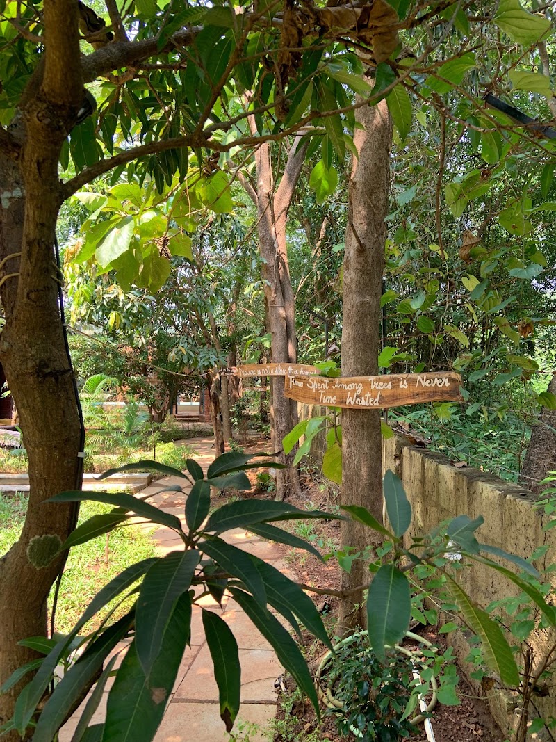 Maya Nature Retreat - Maya Nature Retreat, Survey No 37, 1, near Bandeshwar Temple, Dandoswada, Mandrem, Goa 403527, India
