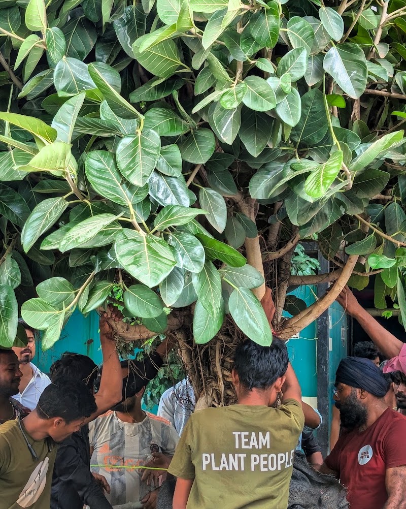 Plant People - Plant People Ground Floor, Raghuvanshi Mansion, Raghuvanshi Mills, Gandhi Nagar, Upper Worli, Worli, Mumbai, Maharashtra 400013, India