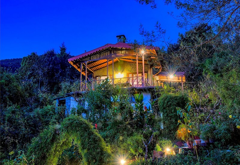 jungle lore birding lodge pangot