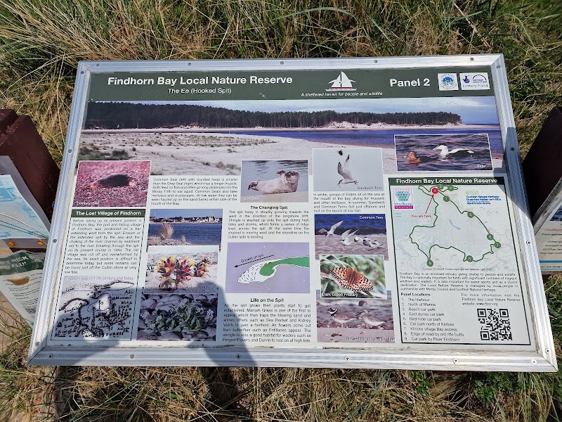 Findhorn Bay Local Nature Reserve - Findhorn Bay Local Nature Reserve, Forres IV36 3TD, UK
