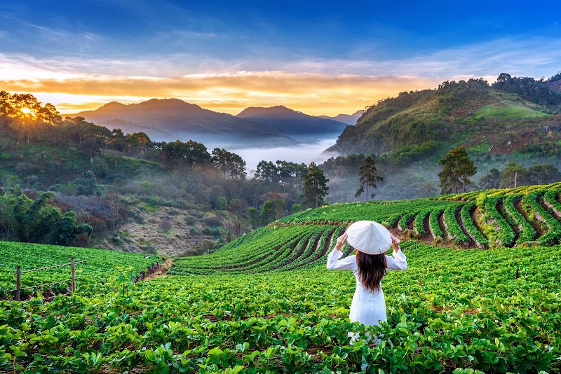 We Well Holidays - We Well Holidays Green Cove Resorts Near Sengulam Dam Anachal, Munnar, Kerala 685565, India