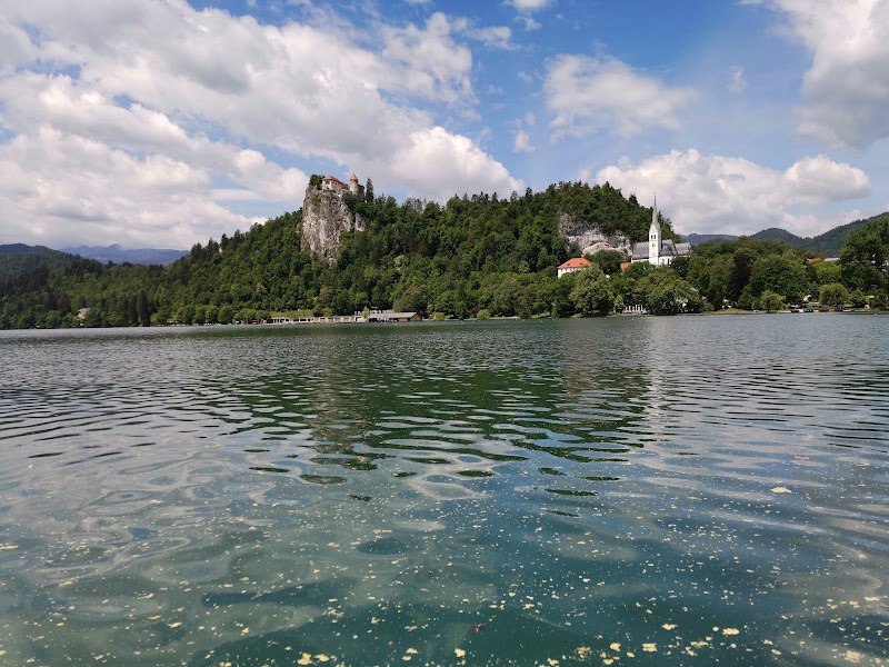 PLETNA BOATS BLED - PLETNA BOATS BLED Cesta svobode 10, 4260 Bled, Slovenia