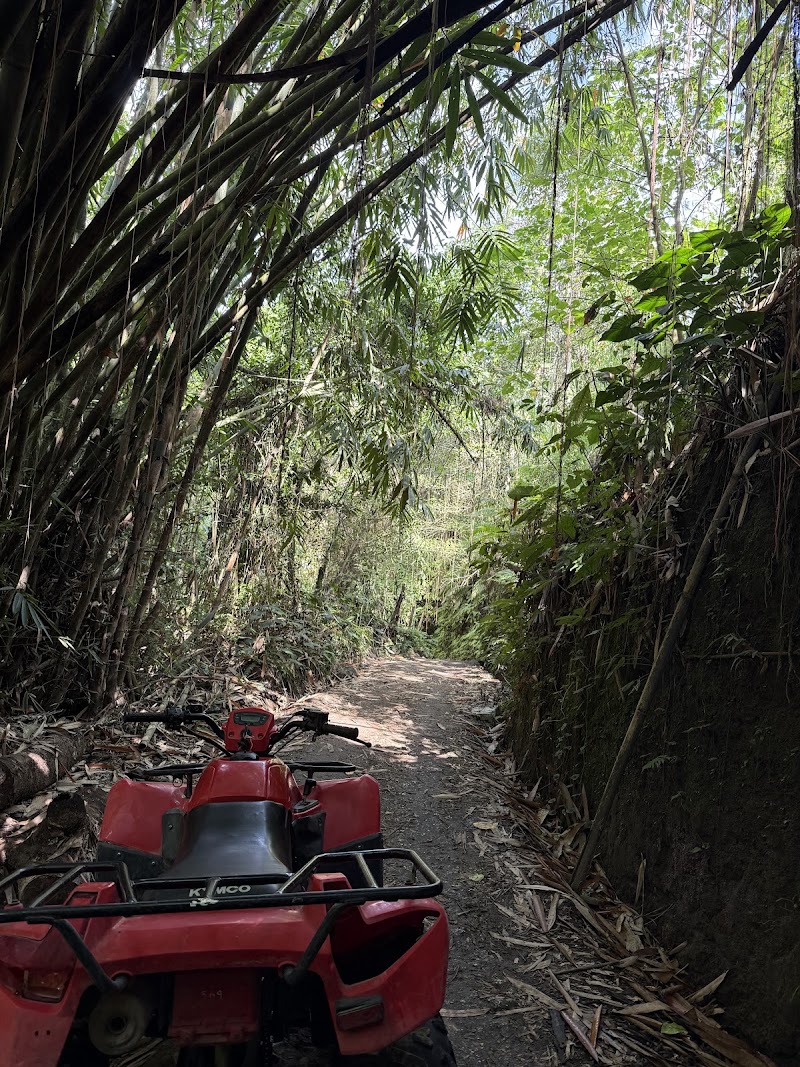 Alamelu Bali ATV (Quad Bike) - Alamelu Bali ATV (Quad Bike), Jl. Raya Payangan, Melinggih Kelod, Kec. Payangan, Kabupaten Gianyar, Bali 80572, Indonesia