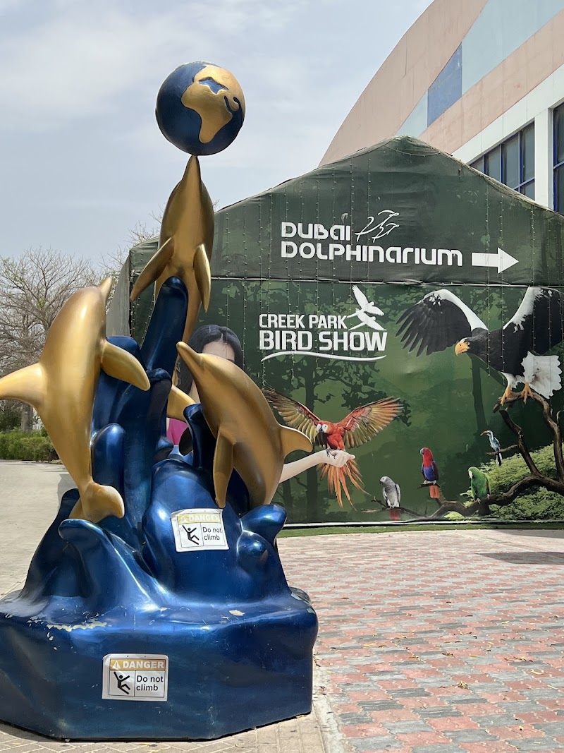 Dubai Dolphinarium - Dubai Dolphinarium Riyadh Street, Inside the Creek Park Gate 1 - Dubai Dolphinarium Building - Dubai Dolphinarium Building - Street - أم هرير الثانية - دبي - United Arab Emirates