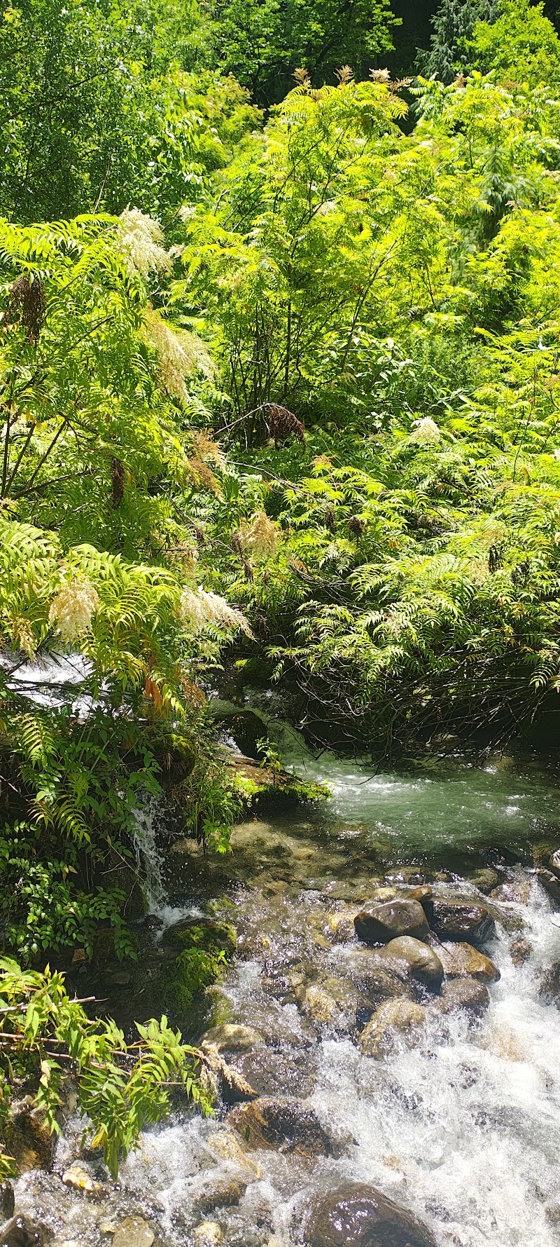 Sethan Valley - Sethan Valley 765R+95V, Haripur, Himachal Pradesh 175143, India