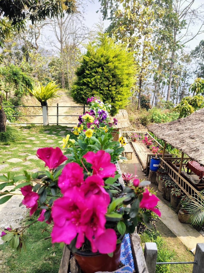 Eviana Homestay - Eviana Homestay, Nayabusty, Bachchabari, Badamtam, Lebong valley, Darjeeling, Badamtam Tea Garden, West Bengal 734105, India