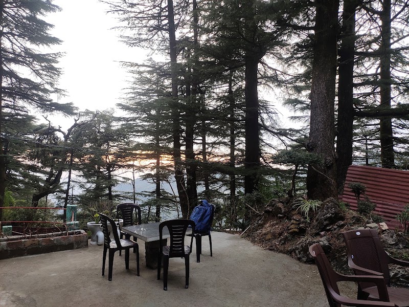 Shree Guest House - Shree Guest House, McLeod Ganj, Dharamshala, Himachal Pradesh 176215, India