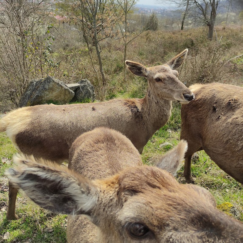 Siyahdaran Forest Park - Siyahdaran Forest Park, Gilan Province, سیادران, خیابان ساحل دریای هشتپر، پارک جنگلی سیاهداران، Iran
