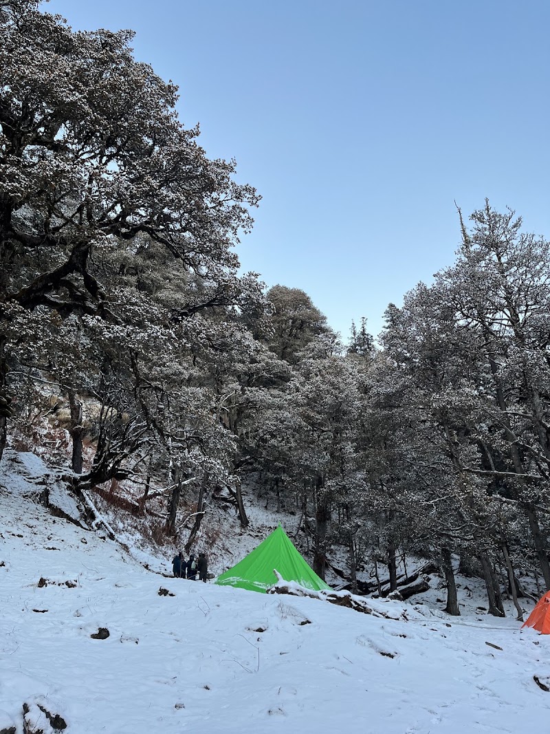 Tali Forest - Tali Forest, FHMP+QM, Kundikhola, Uttarakhand 246483, India