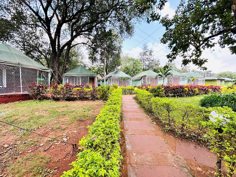 Woodland Adventure Resort