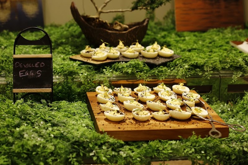 Radisson Hotel Bhopal - Radisson Hotel Bhopal E-8, Gulmohar Main Rd, opposite Savoy Complex, Bawadiya Kalan, Gulmohar Colony, Bhopal, Madhya Pradesh 462039, India