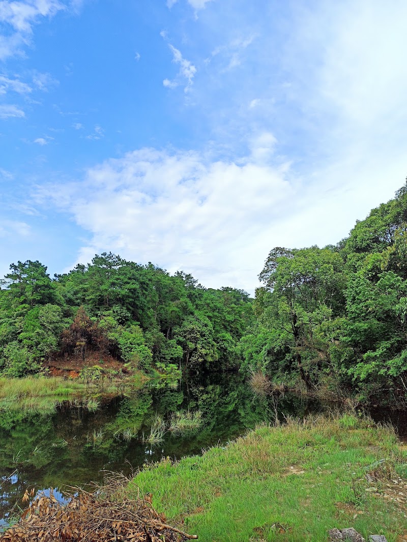 Pdem Falls - Pdem Falls 92HX+2JR, Meghalaya 793161, India