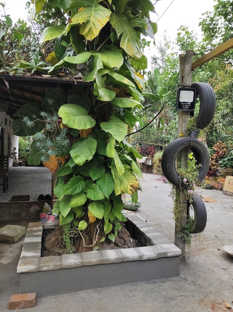 Navilukallu Homestay - Navilukallu Homestay Kamathi, Karnataka 573215, India