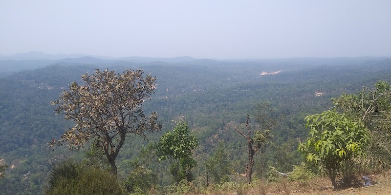 Lakshmi Nilaya Home Stay - Lakshmi Nilaya Home Stay Kyanahally Village, VPMR+874, Sakleshpura, Kyanahalli, Karnataka 573134, India