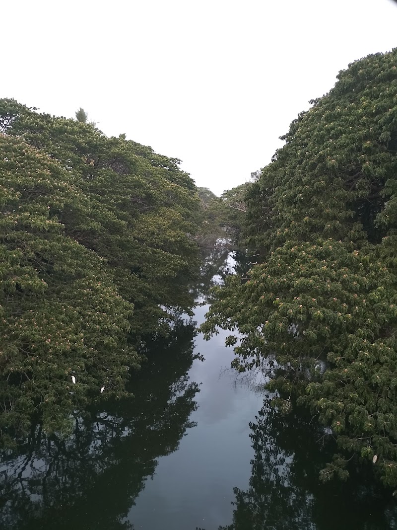 Karamana river view point - Karamana river view point FXHM+48V, Shastri Nagar, Poojapura, Thiruvananthapuram, Kerala 695012, India
