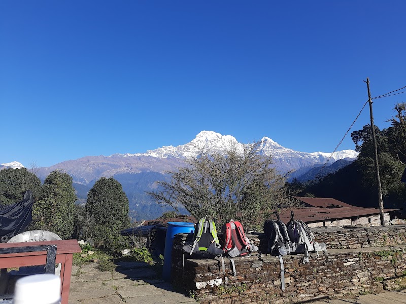 pittam deurali - pittam deurali Nepal, Lumle, Annapurna-7