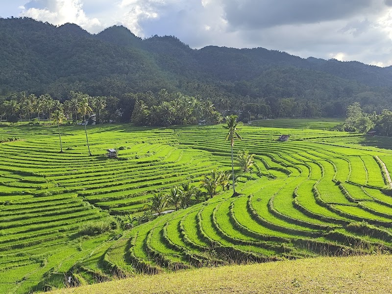 Bohol Nature Tours - BNT Travel and Tours Agency - Bohol Nature Tours - BNT Travel and Tours Agency, Alaia Studios Bldg, Panglao Island Circumferential Rd, Panglao, Bohol, Philippines