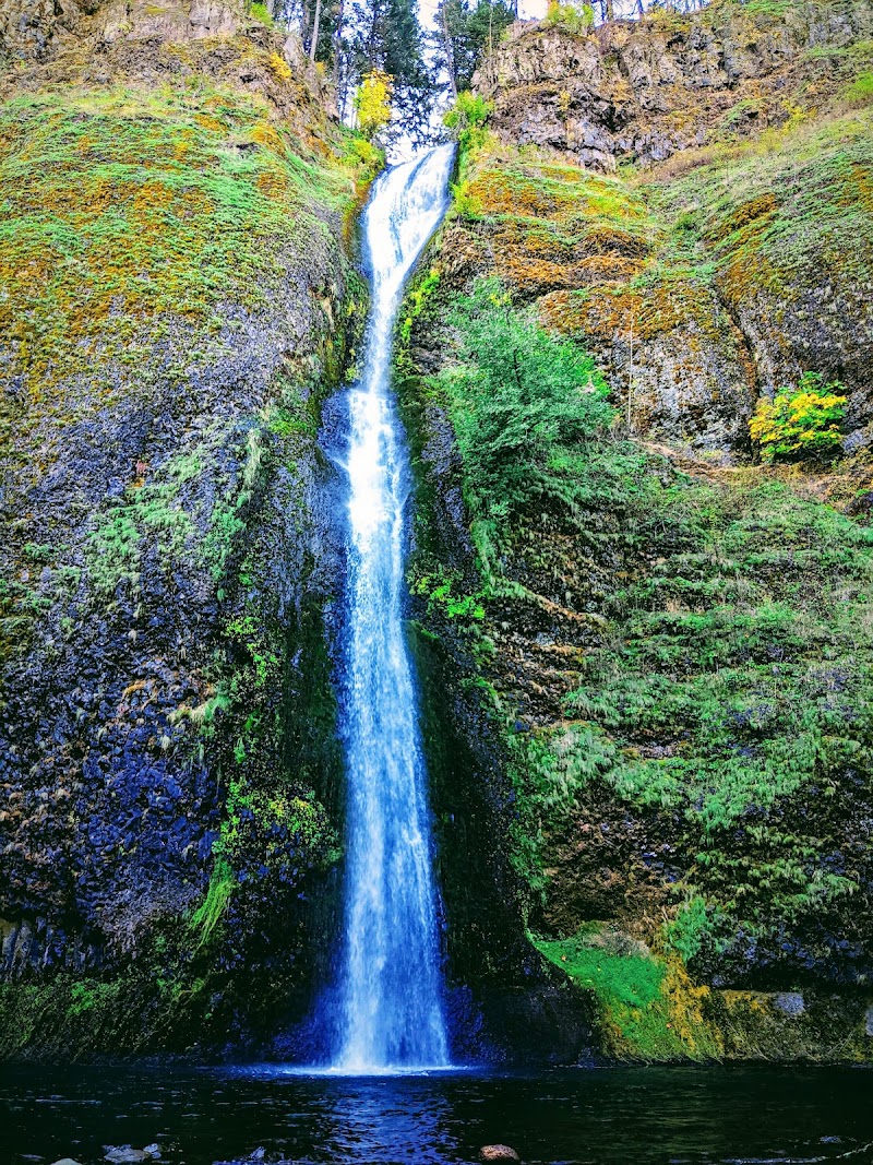 Columbia River Gorge National Scenic Area - Columbia River Gorge National Scenic Area, Oregon, USA