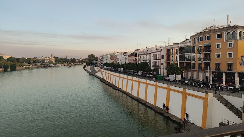 Eco River Cruise meeting point - Eco River Cruise meeting point Puente de S. Telmo, 7, 41013 Sevilla, Spain