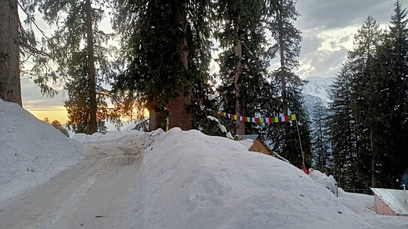 Wander sky Travels - Wander sky Travels, near white stone resort, Prini, Manali, Himachal Pradesh 175143, India