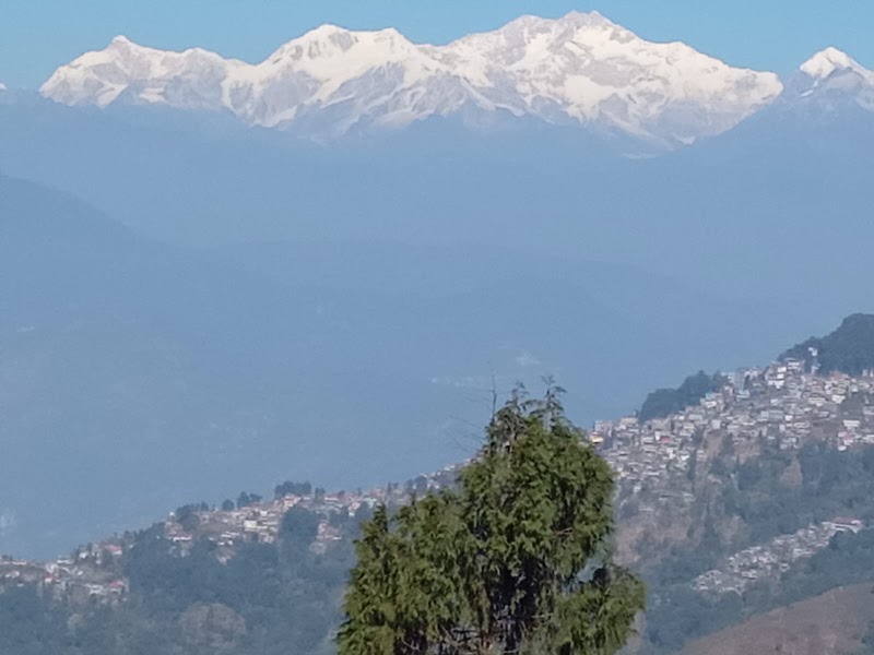 Chowrasta Tours & Travels - Chowrasta Tours & Travels Tungsoong road, chowrasta, Darjeeling, Pandam Tea Garden, West Bengal 734101, India